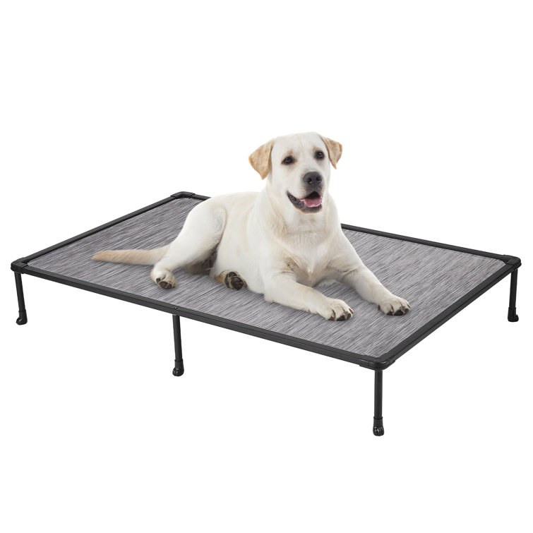 Platform on sale dog bed